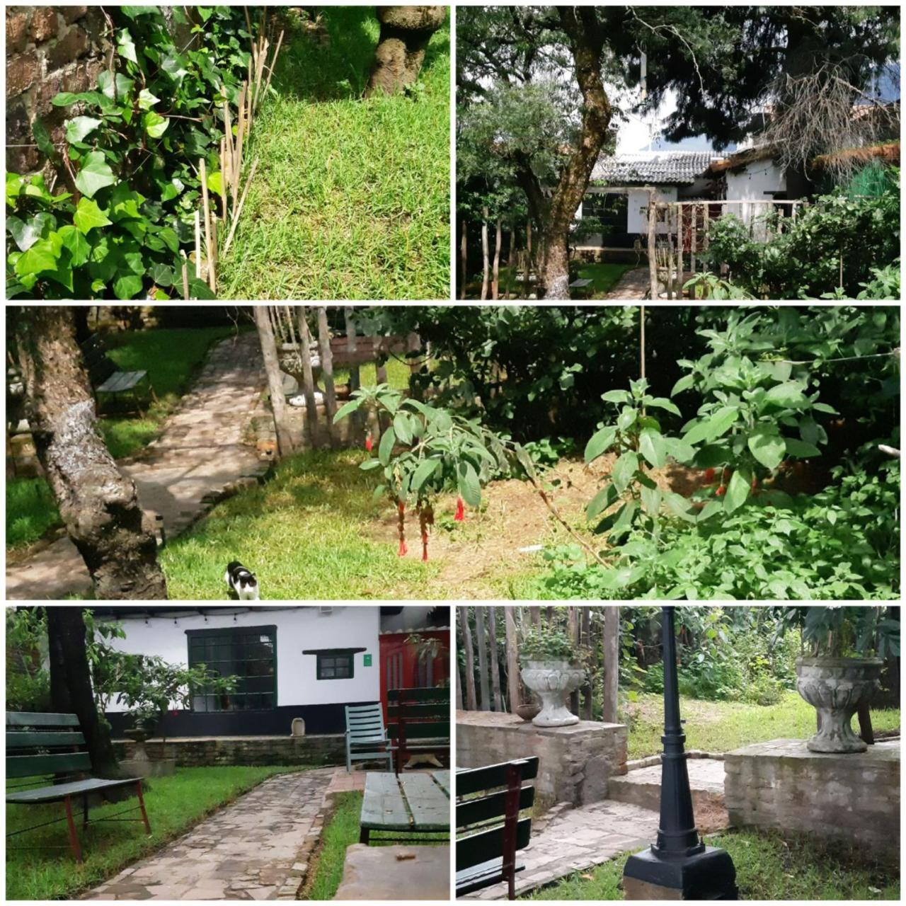 Cedron Hostel Bogota Exterior photo